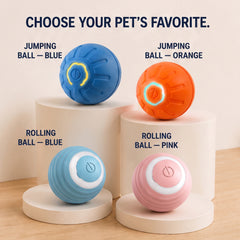 Interactive Smart Dog Toy Ball