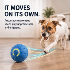 Interactive Smart Dog Toy Ball