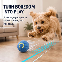 Interactive Smart Dog Toy Ball