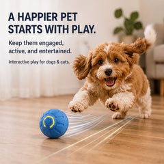 Interactive Smart Dog Toy Ball